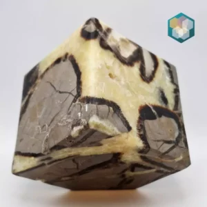 Septarie